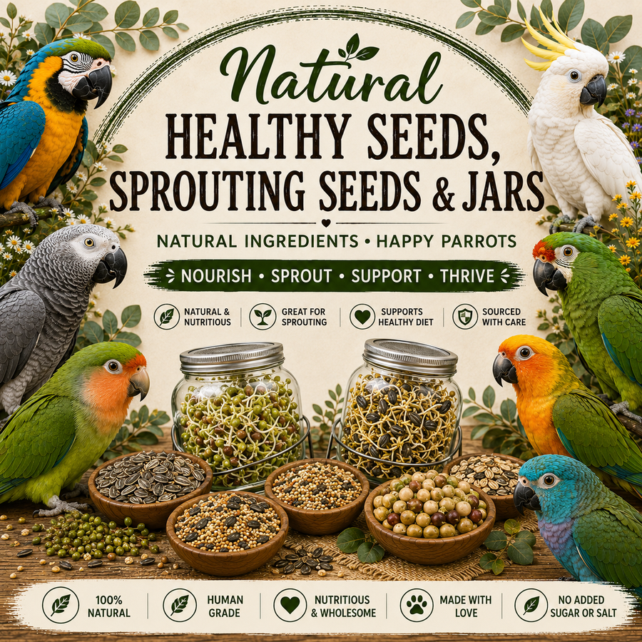 Human Grade, Sprouting & Healthy Seed Mixes for Parrots