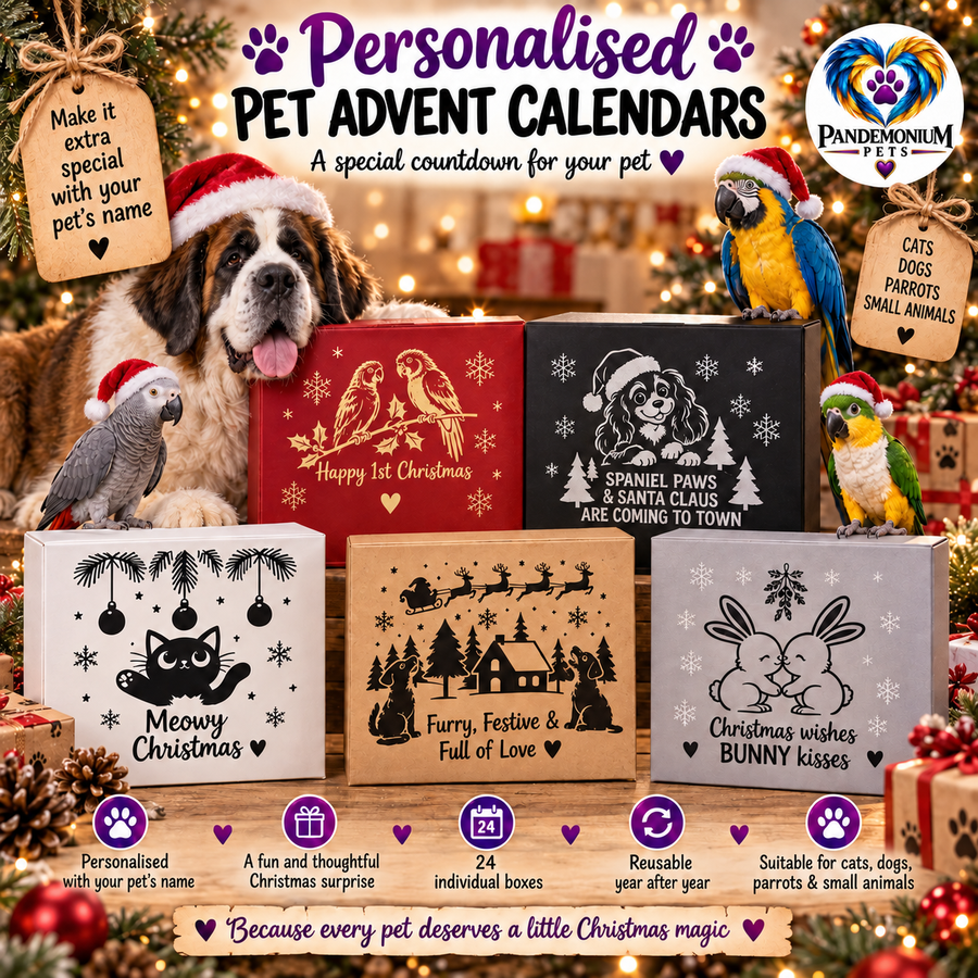 Original personalised pet Advent calendars artwork
