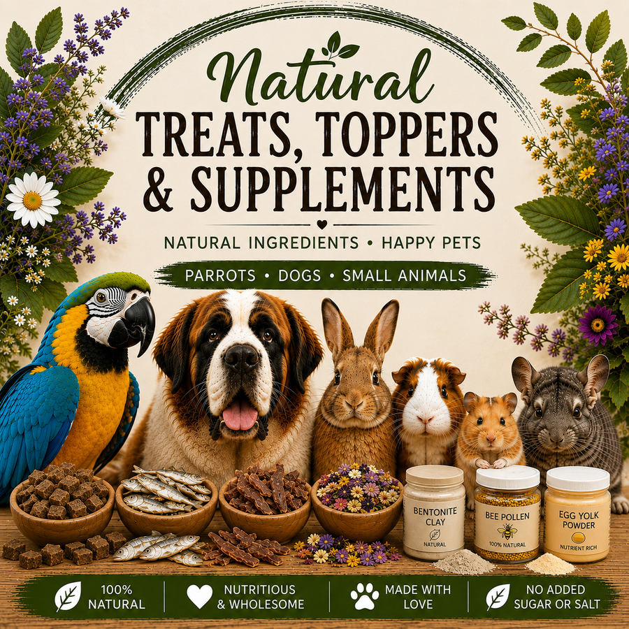 Natural treats, toppers and supplements for parrots, dogs and small animals — Pandemonium Pets"