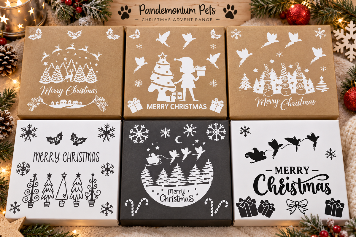 Personalised pet Christmas advent calendar design idea⠋