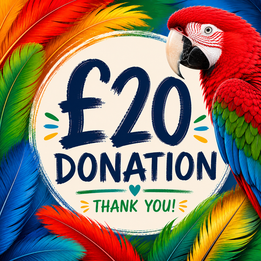 Donate to Pandemonium Pets rescue birds – Isle of Anglesey parrot sanctuary