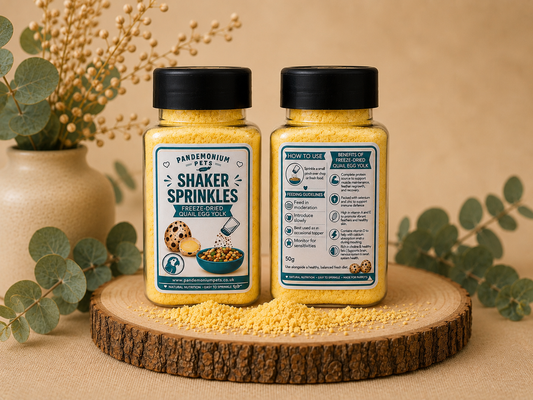 Quail Egg Yolk Powder – Protein-Rich Topper for Parrots (50g)