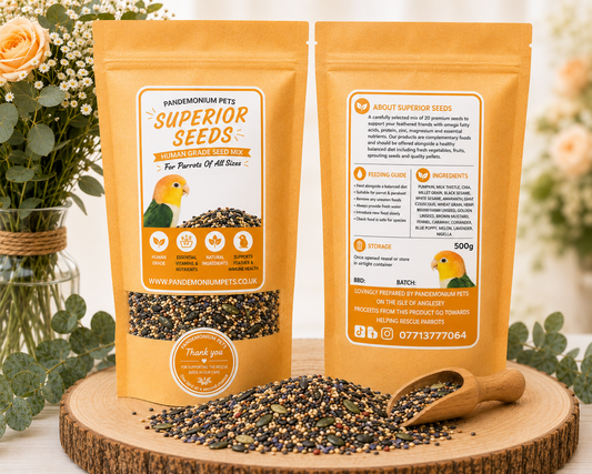 Healthy seed mix for parrots – nutritious, no sunflower blend, 500g | Pandemonium Pets