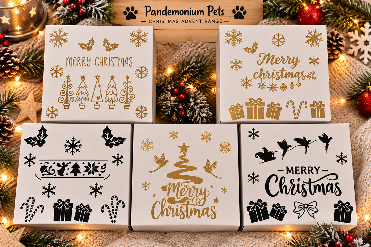 Personalised pet Christmas advent calendar design idea⠋
