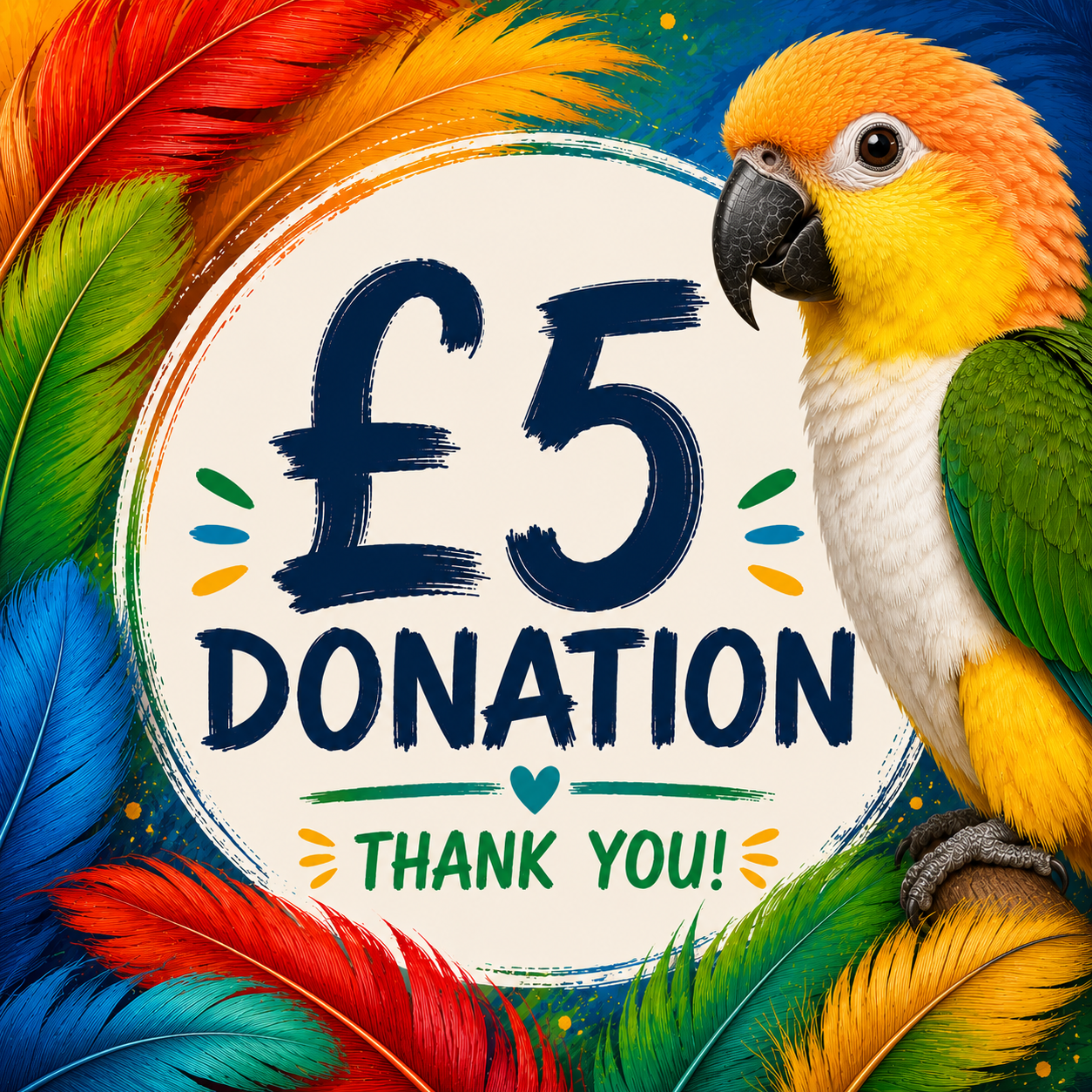 Donate to Pandemonium Pets rescue birds – Isle of Anglesey parrot sanctuary