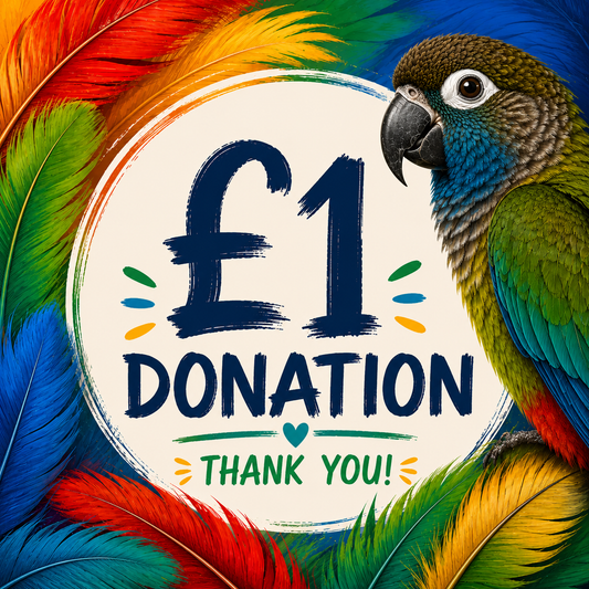 Donate to Pandemonium Pets rescue birds – Isle of Anglesey parrot sanctuary