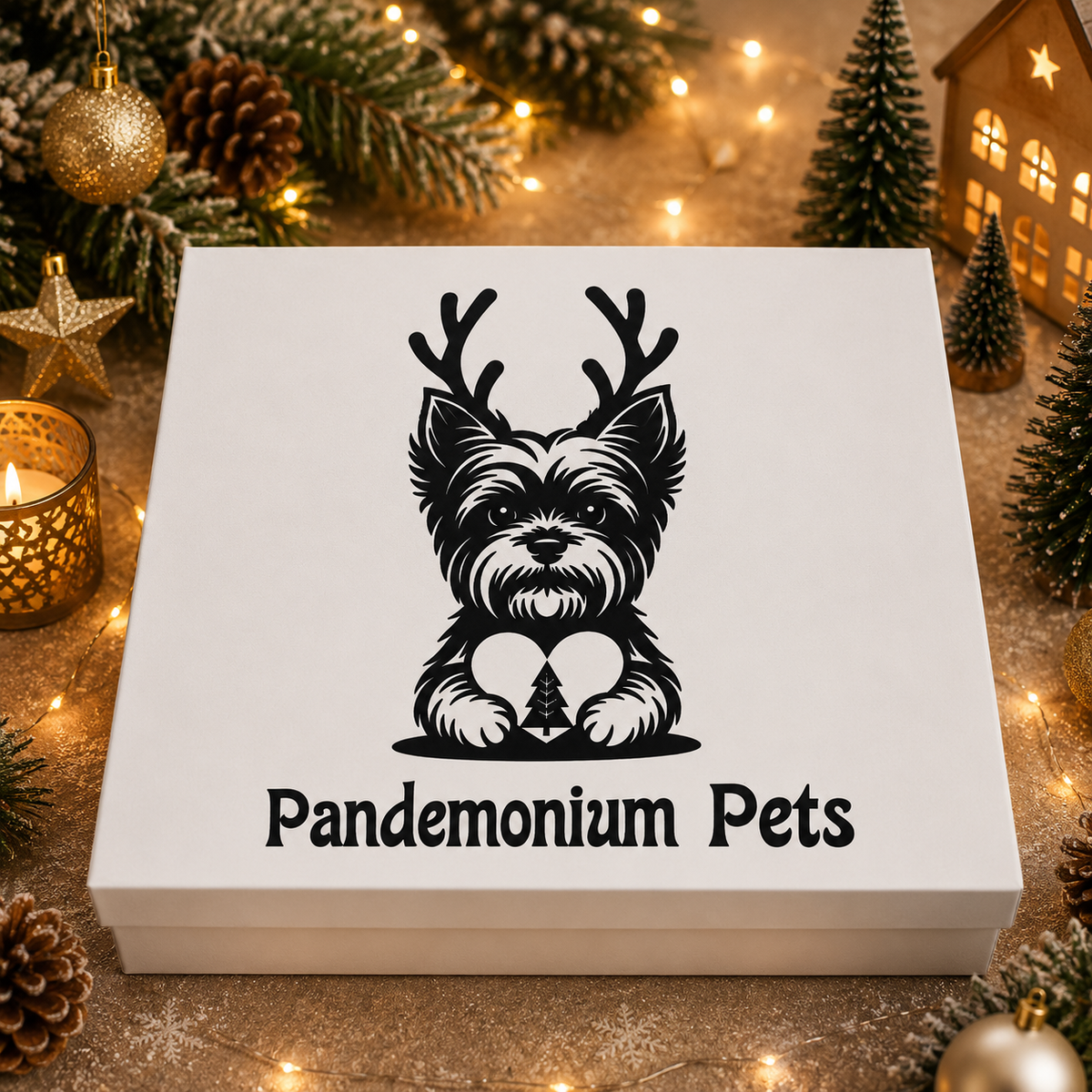 Personalised pet Christmas advent calendar design idea