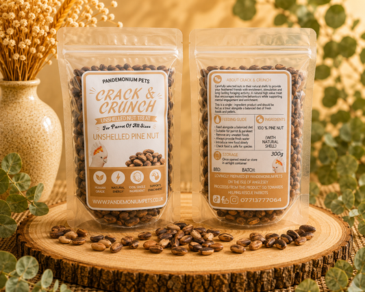 Pine Nuts in Shell – 300g
