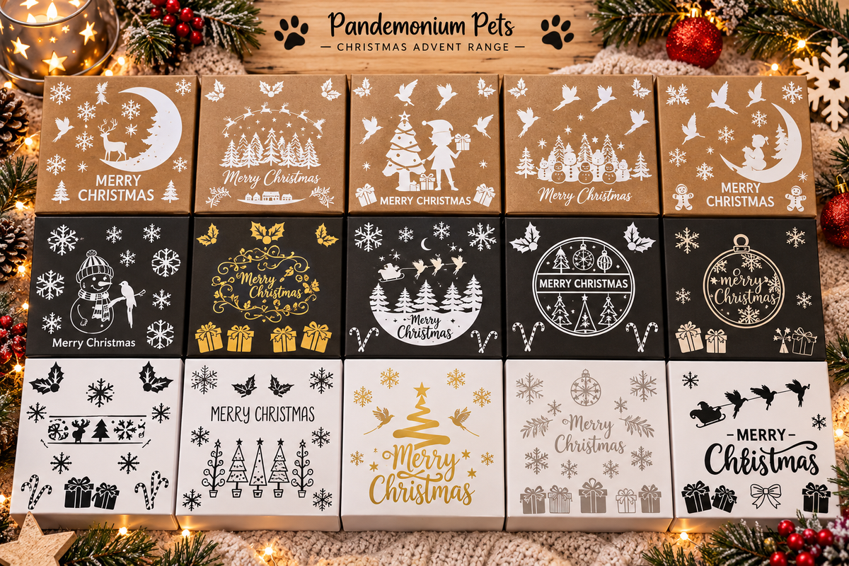 Personalised pet Christmas advent calendar design idea⠋