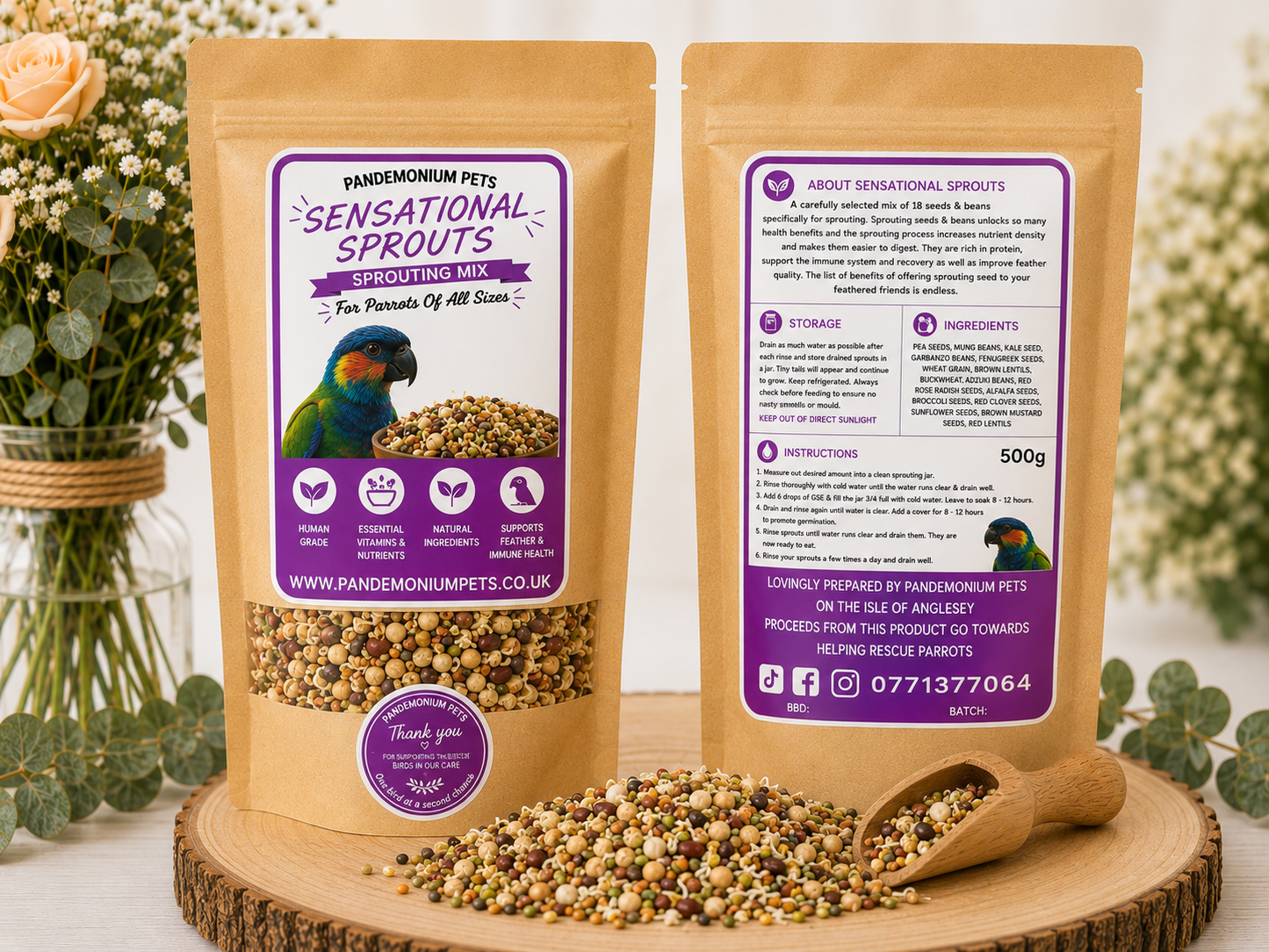 Sprouting seed mix for parrots – fresh live food, easy to sprout at home, 500g | Pandemonium Pets
