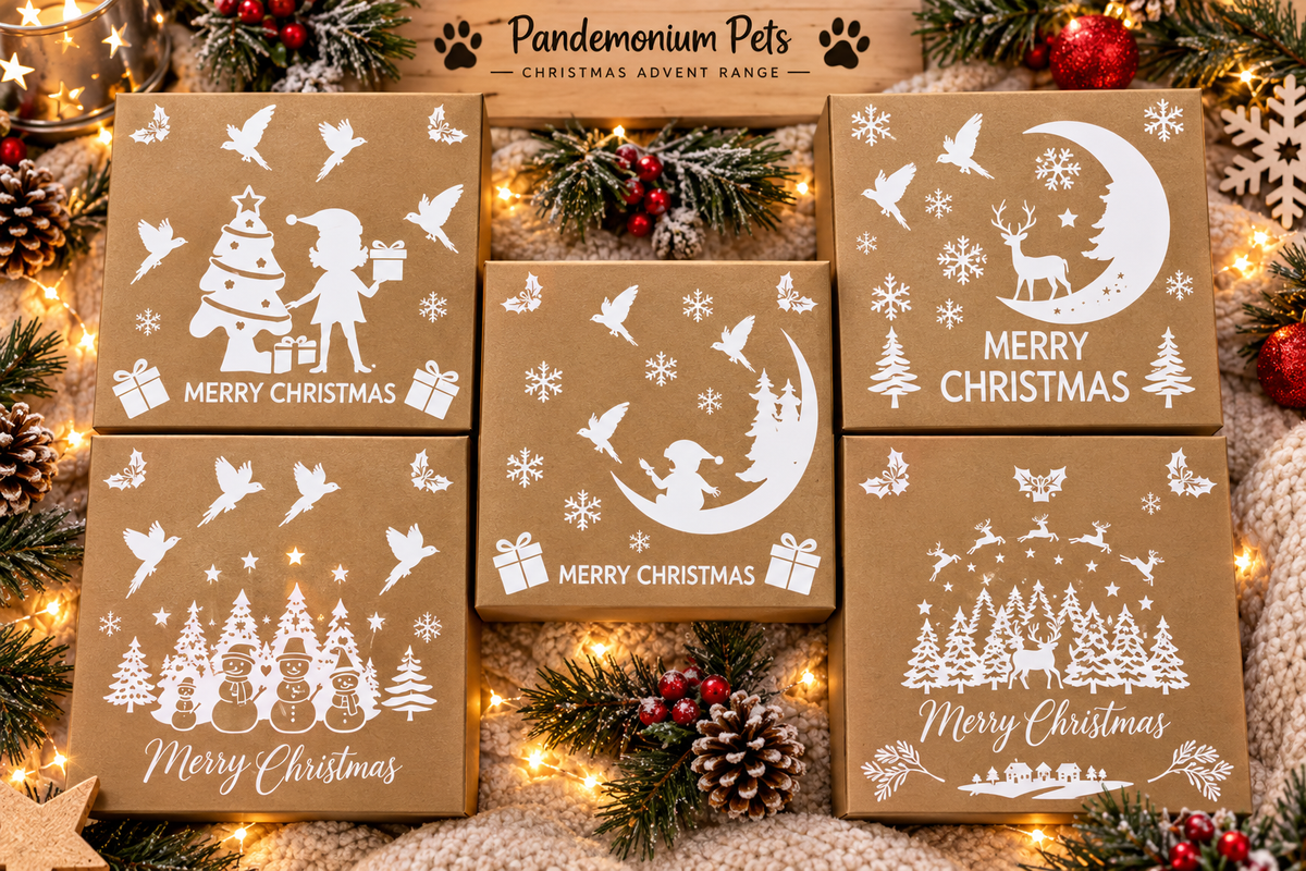 Personalised pet Christmas advent calendar design idea⠋