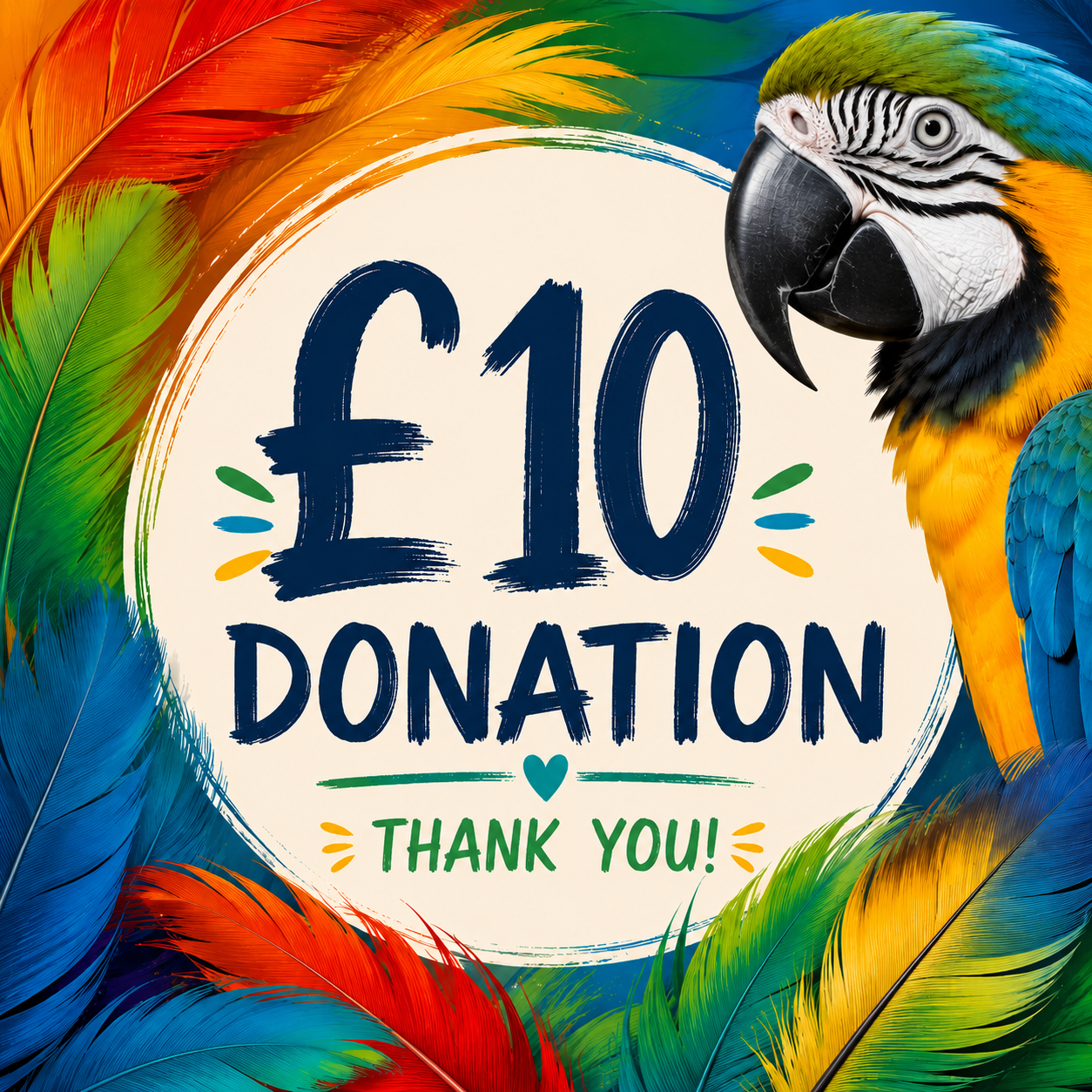 Donate to Pandemonium Pets rescue birds – Isle of Anglesey parrot sanctuary
