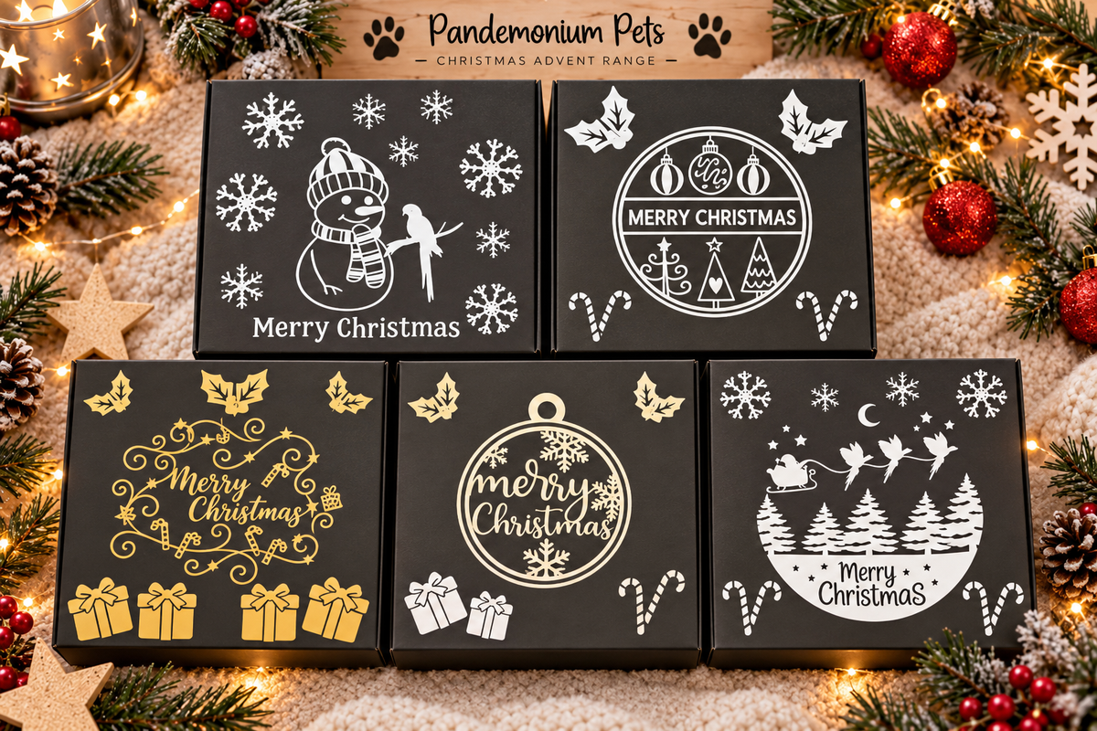 Personalised pet Christmas advent calendar design idea⠋