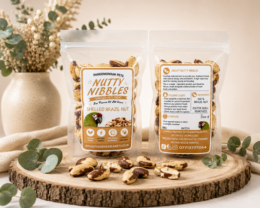 Shelled Brazil Nuts – 300g