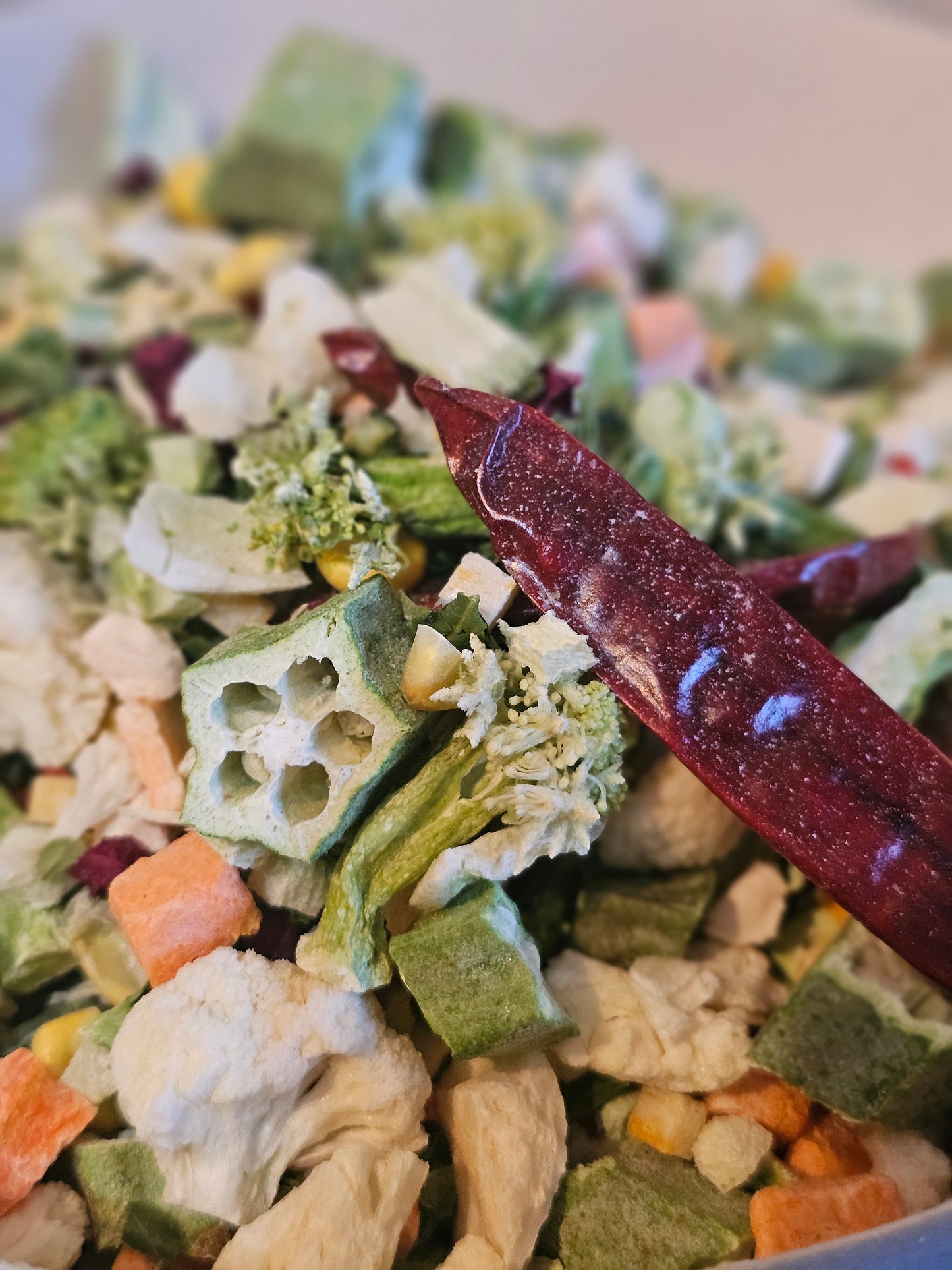 Vital Veggies – Freeze-Dried Vegetables for Parrots (100g)